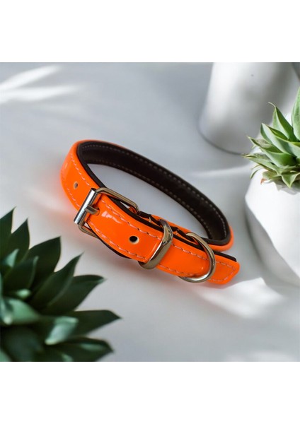 40 cm Deri Köpek Tasması