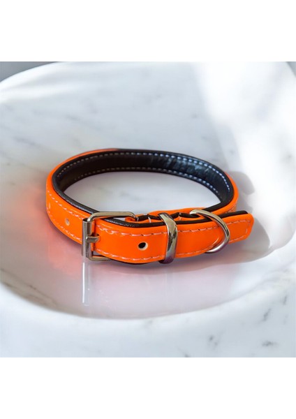 40 cm Deri Köpek Tasması fiyatları