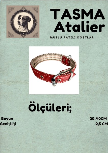 Küçük Boy Köpek Tasması 40 cm modelleri