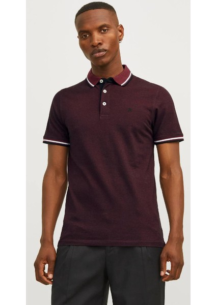 Plain Shirt Collar Polo