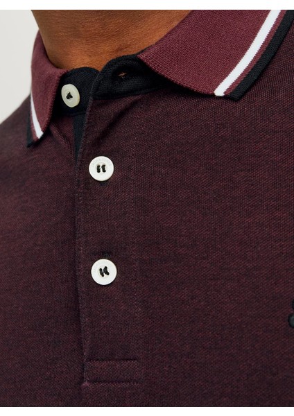 Plain Shirt Collar Polo