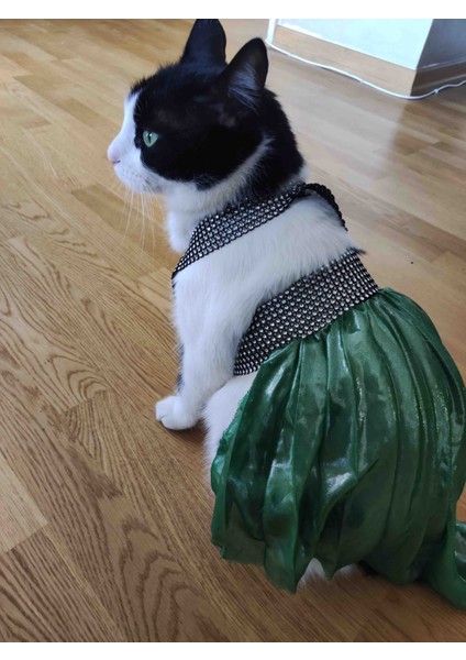 Yeşil tüllü Kedi Kıyafeti