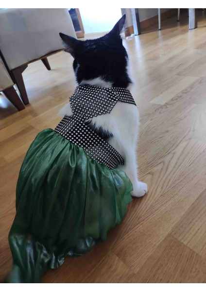 Yeşil tüllü Kedi Kıyafeti fiyatları