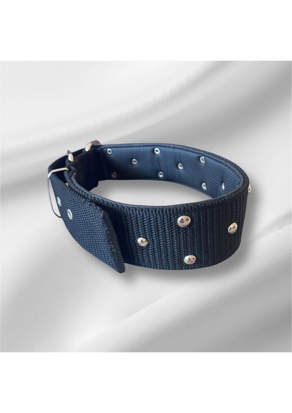 77 cm Köpek Tasması