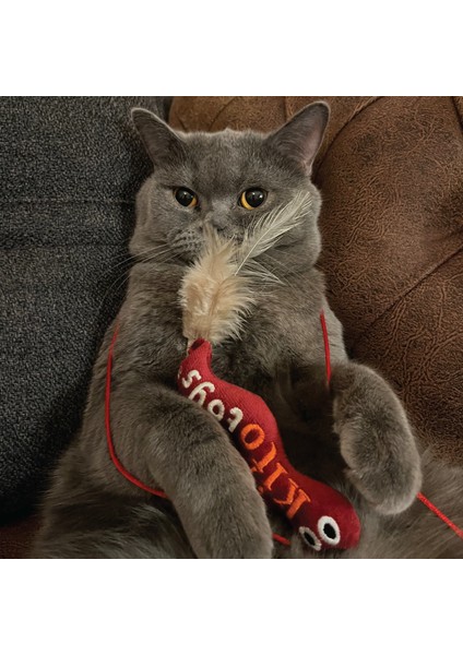 Toys Solucan (Olta) Peluş Kedi Oyuncağı fırsatları