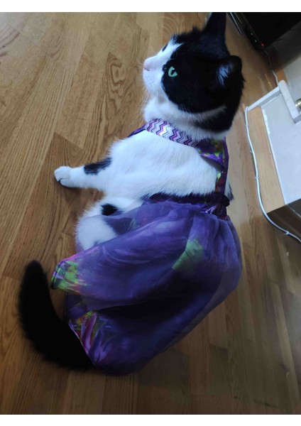 Mor tüllü Kedi Kıyafeti