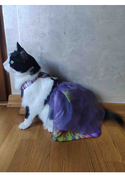 Mor tüllü Kedi Kıyafeti indirimleri