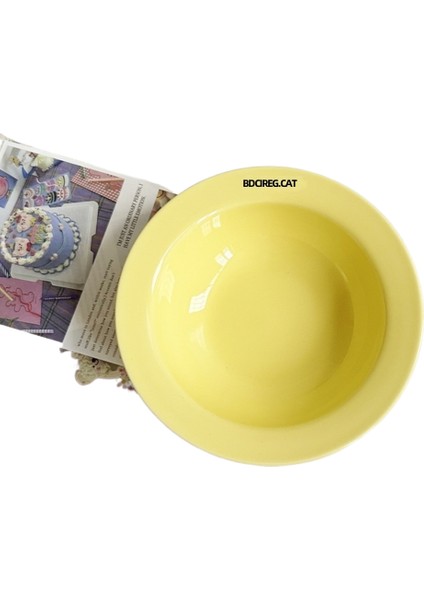 Kaymaz Paspaslı, Boğulma ve Sıçrama Önleyici Pet Yavaş Yemek Kabı (Yurt Dışından)