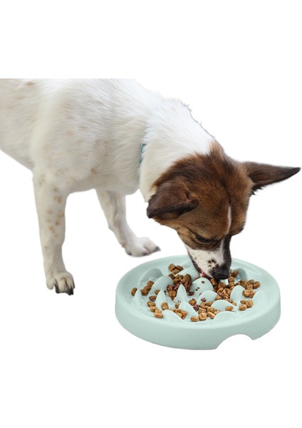 Köpekler ve Kediler Için Yavaş Yemek Kasesi Pet Dökülme ve Boğulma Önleyici (Yurt Dışından)