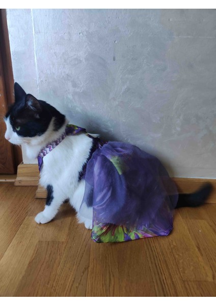 Mor tüllü lastikli Kedi Kıyafeti fiyatları