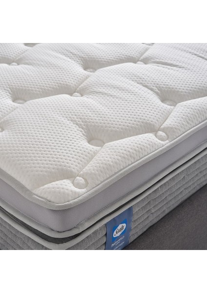 Sealy Buckingham Yatak