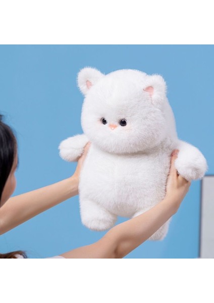 Beyaz Kedi Bebek (Yurt Dışından)