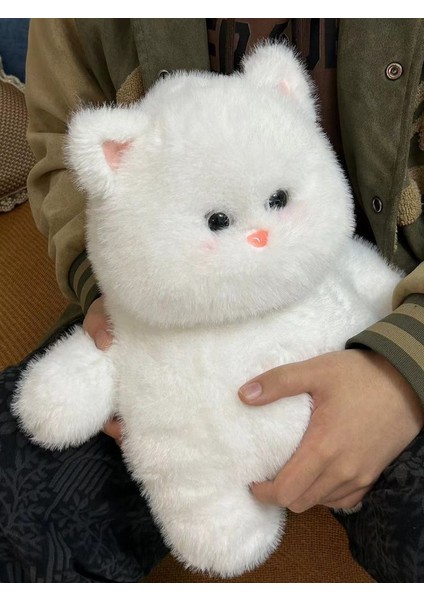 Beyaz Kedi Bebek (Yurt Dışından)