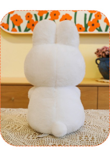 Iyi Tavşan Peluş Oyuncak (Yurt Dışından)