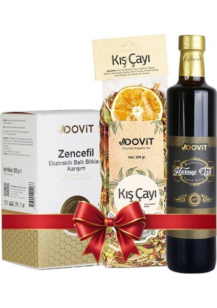 Standart Kış Paketi