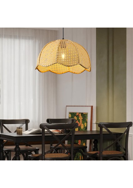 Alvise Tekli Hazeran Model Rattan Modern Tasarım Oturma Odası Avize