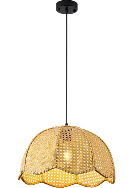 Alvise Tekli Hazeran Model Rattan Modern Tasarım Oturma Odası Avize