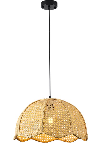 Alvise Tekli Hazeran Model Rattan Modern Tasarım Oturma Odası Avize