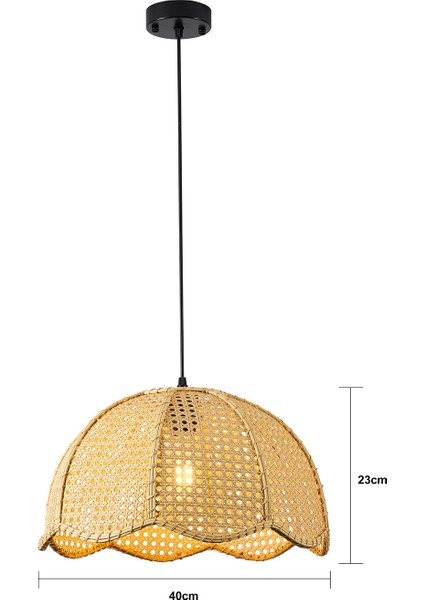 Alvise Tekli Hazeran Model Rattan Modern Tasarım Oturma Odası Avize