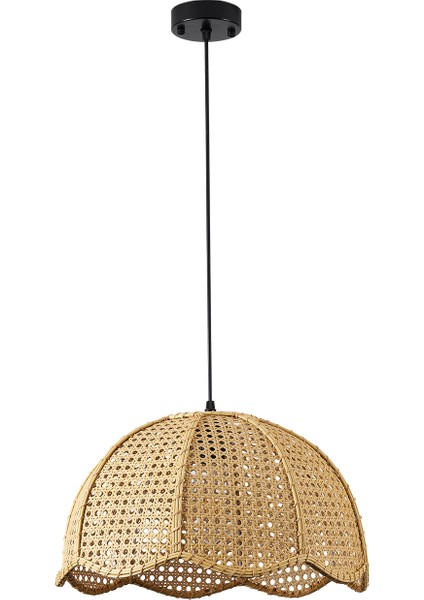 Alvise Tekli Hazeran Model Rattan Modern Tasarım Oturma Odası Avize