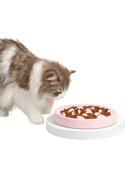 Köpekler ve Kediler Için Yavaş Yemek Kasesi Pet Dökülme ve Boğulma Önleyici (Yurt Dışından)