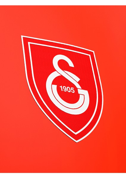 Galatasaray Çocuk Kaan Ayhan Design Fc T-Shirt C232386