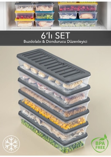 Piknik saklama kabı buzdolabı düzenleyici buzluk saklama kabı