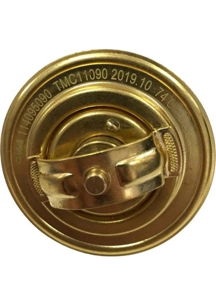 Skoda Favorit, Felicia Termostat 74c 114095090f