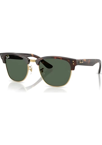 Güneş Gözlüğü Rayban RBR0504S 1359VR51 fiyatları