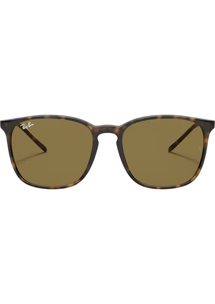 Güneş Gözlüğü Rayban RB4387 710/7356