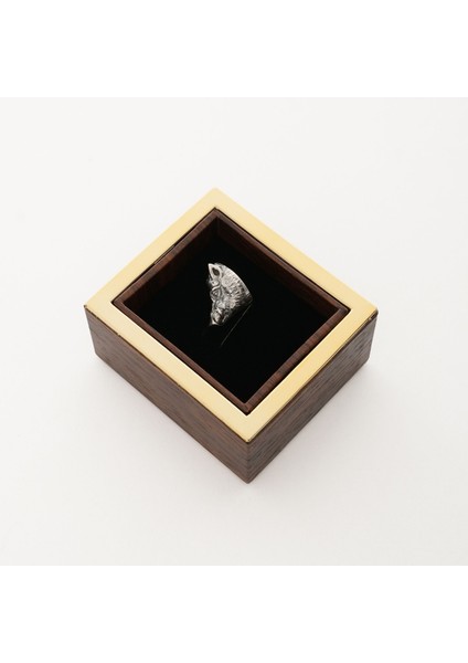 Wild Boar Gümüş Broş 03 fırsatları