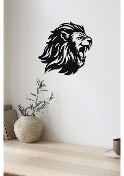 Mdf Aslan