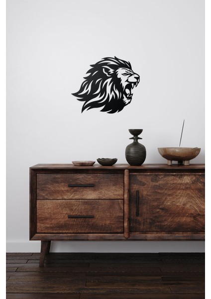 Mdf Aslan