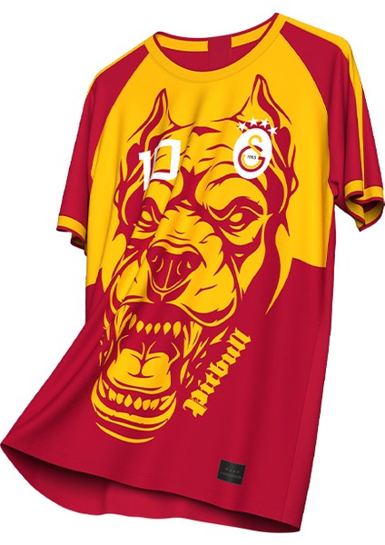 Galatasaray Felipe Melo Legends T-Shirt C232392 modelleri