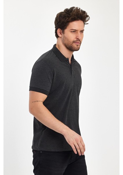 Erkek Compact Penye Polo Yaka T-Shırt modelleri