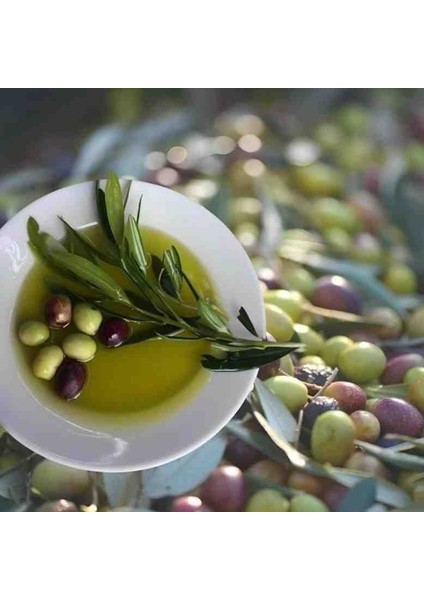 Zeytinyağı 5lt Sızma Taş Baskı Natural