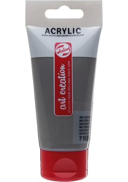 Akrilik Boya 710 Neutral Grey 75ML (RT3511710M) fiyatları