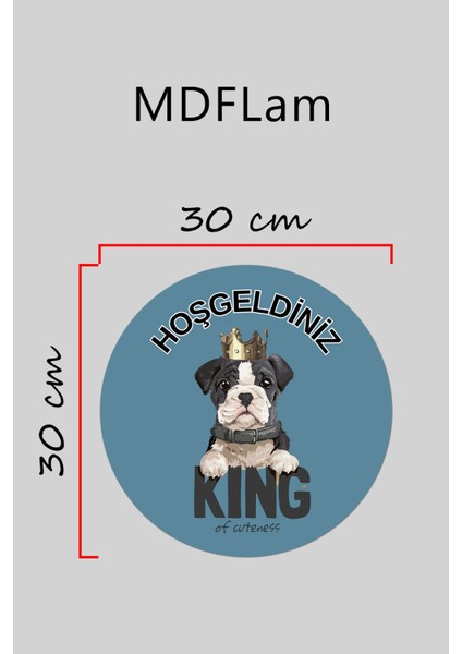 Modern Kapı Süsü Mavi Zemin Taçlı Köpekdış Mekan Kapı Süsü modelleri