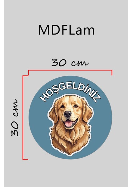 Modern Kapı Süsü Mavi Zemin Golden Köpek Dış Mekan Kapı Süsü modelleri