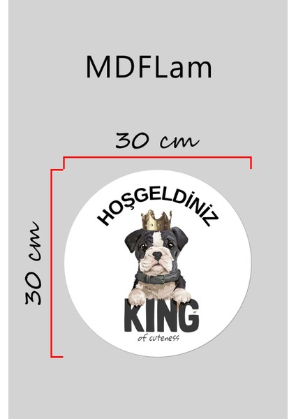 Modern Kapı Süsü Beyaz Zemin Taçlı Köpekdış Mekan Kapı Süsü
