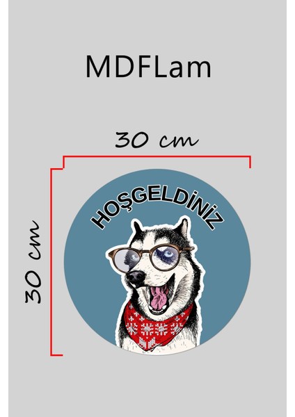 Modern Kapı Süsü Mavi Zemin Gözlüklü Köpek Dış Mekan Kapı Süsü
