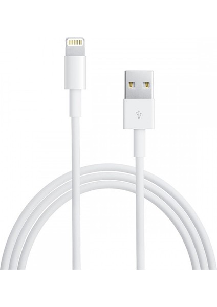 2.4A 12W Hızında Charger Cable Usb-C To Lightning Şarj ve Data Kablosu
