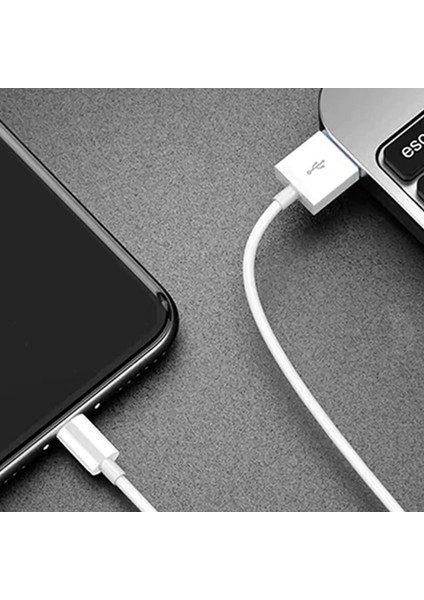 2.4A 12W Hızında Charger Cable Usb-C To Lightning Şarj ve Data Kablosu
