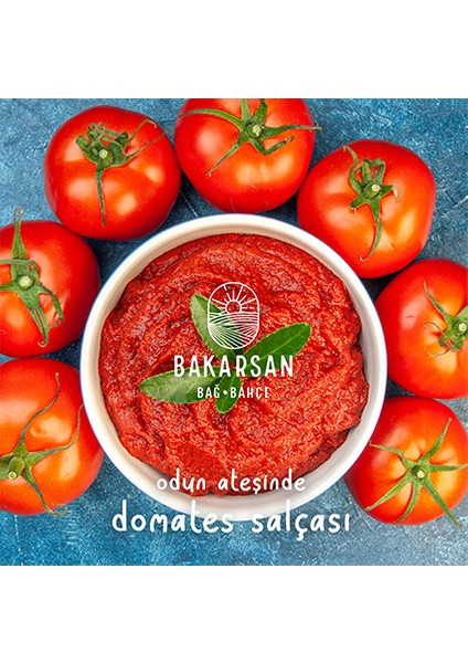 Domates Salçası