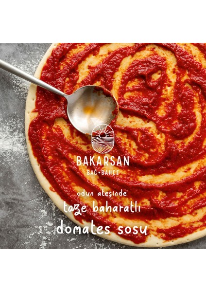 Bakarsan Bağ Bahçe Taze Baharatlı Dometes Sosu fırsatları