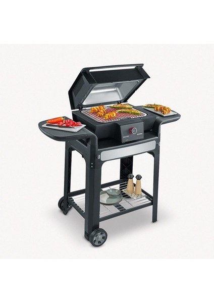 Elektrikli Barbekü Izgara fiyatları