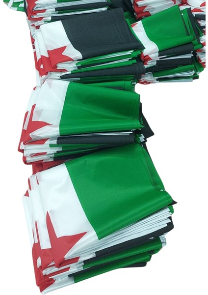 Suriye Bayrağı Raşel Kumaş Dijital Baskı 200 x 300