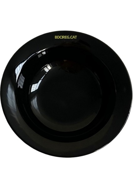 Kaymaz Paspaslı, Boğulma ve Sıçrama Önleyici Pet Yavaş Yemek Kabı (Yurt Dışından)