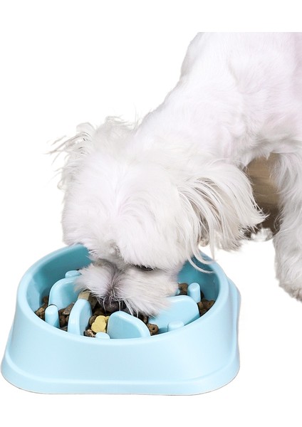 Pet Yavaş Yemek Kasesi Dökülme ve Boğulma Önleyici (Yurt Dışından)