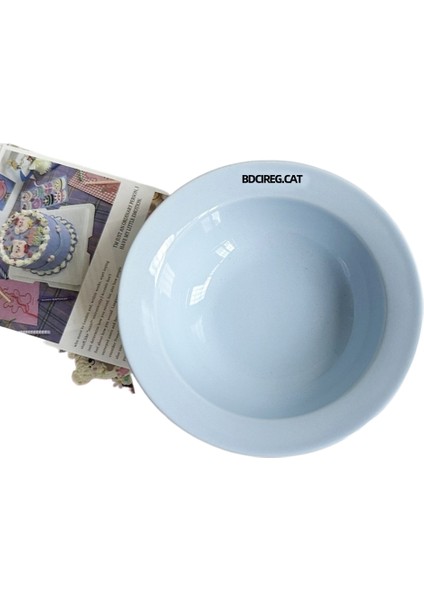Kaymaz Paspaslı, Boğulma ve Sıçrama Önleyici Pet Yavaş Yemek Kabı (Yurt Dışından)
